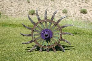 RainDance Tee Marker